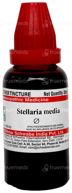 Dr Willmar Schwabe Stellaria Media Q Mother Tincture 30ml Dr Willmar Schwabe Stellaria Media Q Mother Tincture 30ml