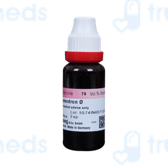 Dr Reckeweg Rhus Tox Q Mother Tincture 20ml