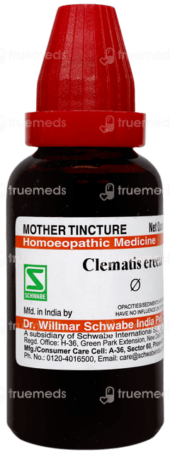 Dr Willmar Schwabe India Clematis Erecta Q Mother Tincture 30 ML