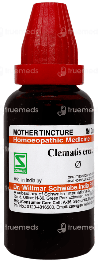 Dr Willmar Schwabe India Clematis Erecta Q Mother Tincture 30 ML