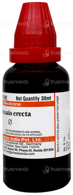 Dr Willmar Schwabe India Clematis Erecta Q Mother Tincture 30 ML