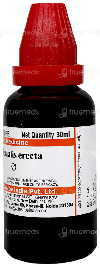 Dr Willmar Schwabe India Clematis Erecta Q Mother Tincture 30 ML