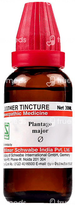 Dr Willmar Schwabe Plantago Major Q Mother Tincture 30ml Dr Willmar Schwabe Plantago Major Q Mother Tincture 30ml