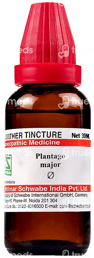Dr Willmar Schwabe Plantago Major Q Mother Tincture 30ml