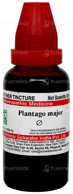 Dr Willmar Schwabe Plantago Major Q Mother Tincture 30Ml