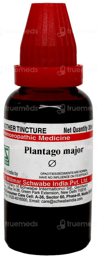 Dr Willmar Schwabe Plantago Major Q Mother Tincture 30Ml