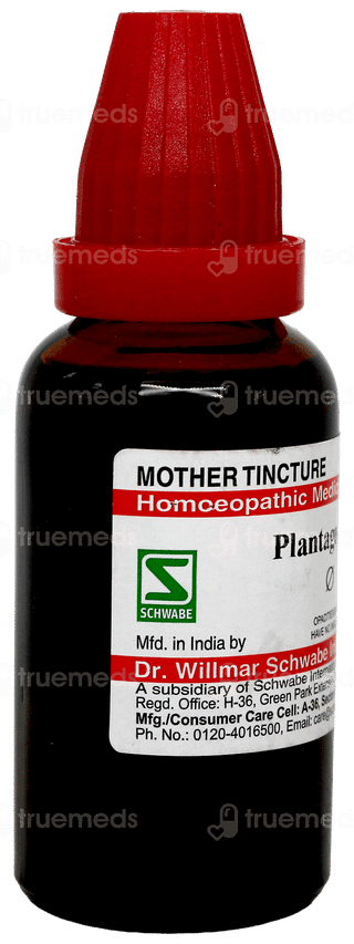Dr Willmar Schwabe Plantago Major Q Mother Tincture 30Ml