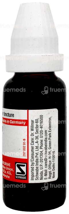 Dr Willmar Schwabe Germany Berberis Vulgaris Q Mother Tincture 20 ML