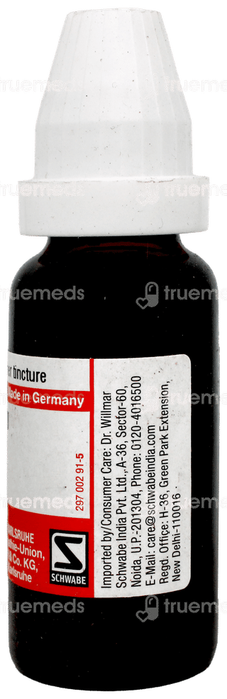 Dr Willmar Schwabe Germany Berberis Vulgaris Q Mother Tincture 20 ML