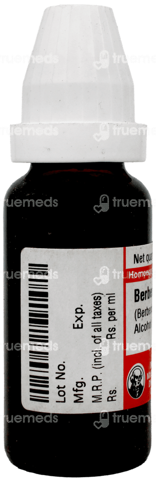 Dr Willmar Schwabe Germany Berberis Vulgaris Q Mother Tincture 20 ML