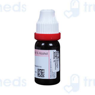 Dr Reckeweg Rhus Tox 6ch Dilution 11ml