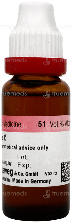 Dr Reckeweg Colocynthis Q Mother Tincture 20 ML