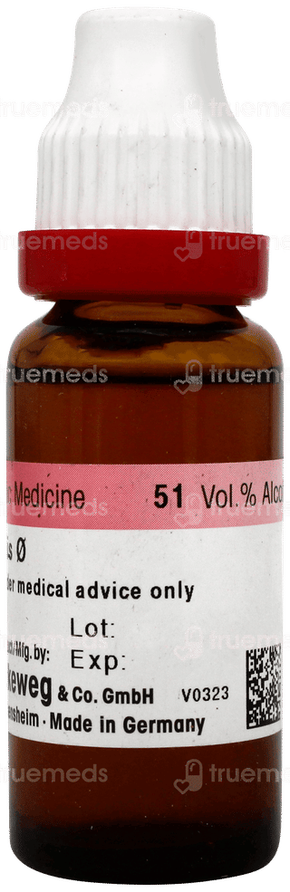 Dr Reckeweg Colocynthis Q Mother Tincture 20 ML