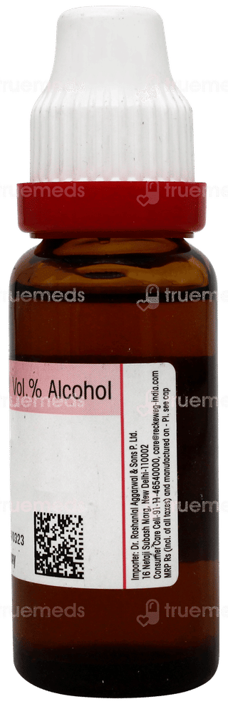 Dr Reckeweg Colocynthis Q Mother Tincture 20 ML