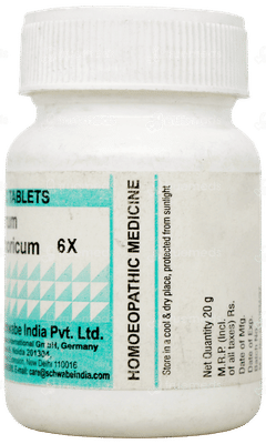 Dr Willmar Schwabe Ferrum Phosphoricum 6X Biochemic Tablet 20Gm Dr Willmar Schwabe Ferrum Phosphoricum 6X Biochemic Tablet 20Gm