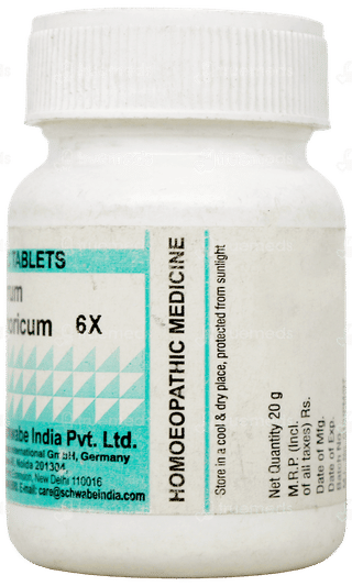 Dr Willmar Schwabe Ferrum Phosphoricum 6X Biochemic Tablet 20Gm
