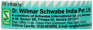 Dr Willmar Schwabe Ferrum Phosphoricum 6X Biochemic Tablet 20Gm