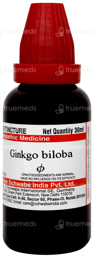 Dr Willmar Schwabe Ginkgo Biloba Q Mother Tincture 30ml