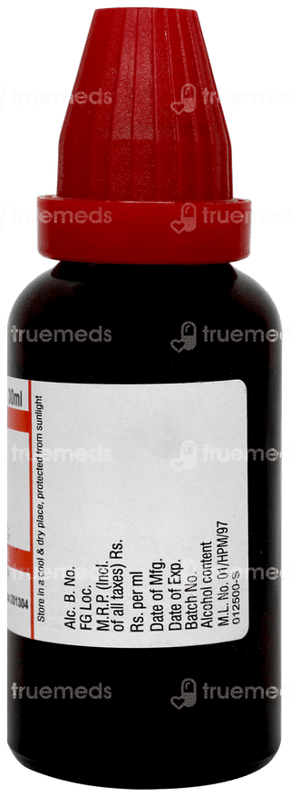 Dr Willmar Schwabe Ginkgo Biloba Q Mother Tincture 30ml