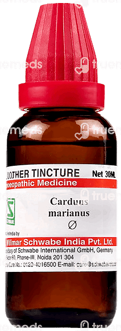 Dr Willmar Schwabe Carduus Marianus Q Mother Tincture 30ml Dr Willmar Schwabe Carduus Marianus Q Mother Tincture 30ml