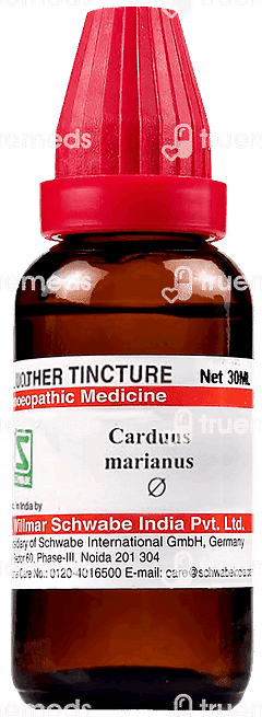 Dr Willmar Carduus Marianus Q Mother Tincture 30 ML