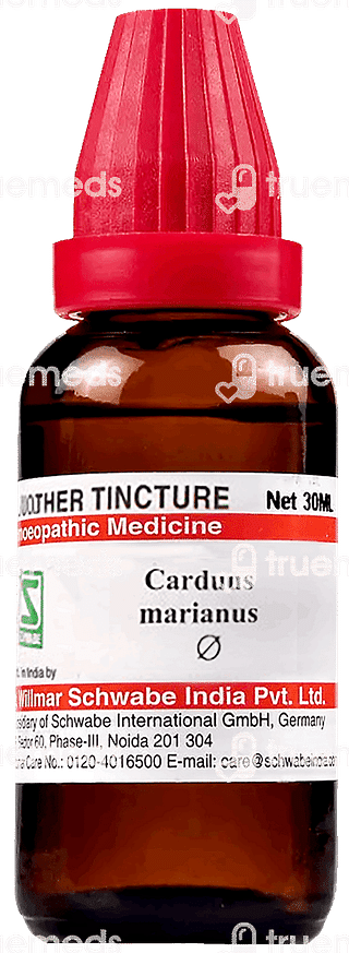 Dr Willmar Carduus Marianus Q Mother Tincture 30 ML