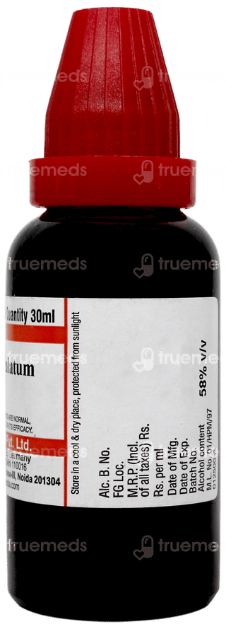 Dr Willmar Geranium Maculatum Q Mother Tincture 30 ML