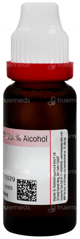 Dr Reckeweg Lycopodium Q Mother Tincture 20ml