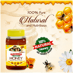 Baidyanath Honey 500gm