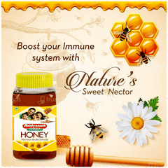 Baidyanath Honey 500gm