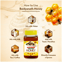 Baidyanath Honey 500gm