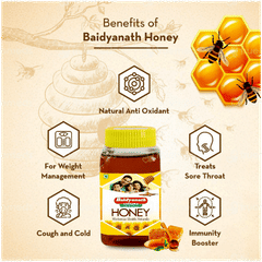 Baidyanath Honey 500gm