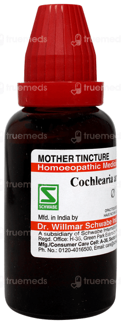 Dr Willmar Cochlearia Armoracia Q Mother Tincture 30ml