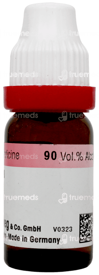 Dr Reckeweg Lapis Albus 30 Dilution 11 ML