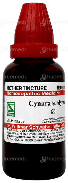 Dr Willmar Cynara Scolymus Q Mother Tincture 30 ML