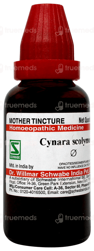 Dr Willmar Cynara Scolymus Q Mother Tincture 30 ML
