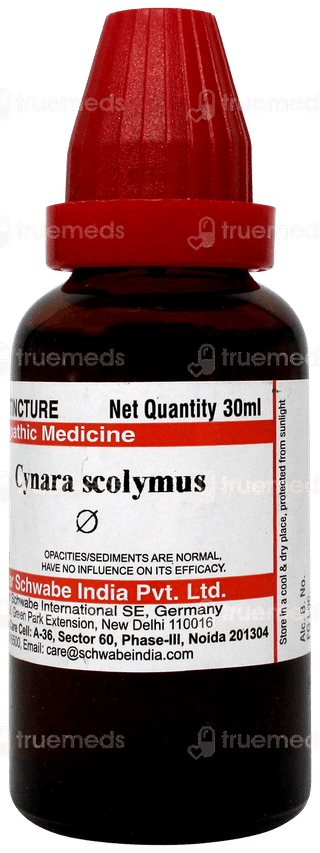 Dr Willmar Cynara Scolymus Q Mother Tincture 30 ML