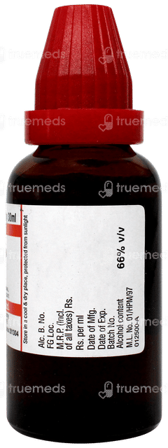 Dr Willmar Cynara Scolymus Q Mother Tincture 30 ML