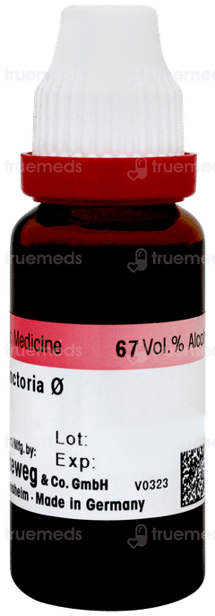 Dr Reckeweg Baptisia Tinctoria Q Mother Tincture 20ml