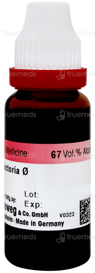 Dr Reckeweg Baptisia Tinctoria Q Mother Tincture 20ml