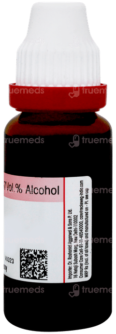 Dr Reckeweg Baptisia Tinctoria Q Mother Tincture 20ml