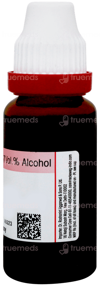 Dr Reckeweg Baptisia Tinctoria Q Mother Tincture 20ml