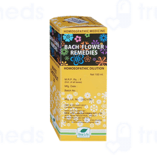 New Life Bach Flower White Chestnut 30 Dilution 100ml