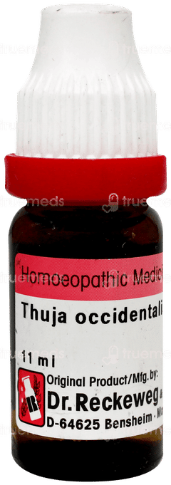 Dr Reckeweg Thuja Occ 10M Dilution 11Ml Dr Reckeweg Thuja Occ 10M Dilution 11Ml