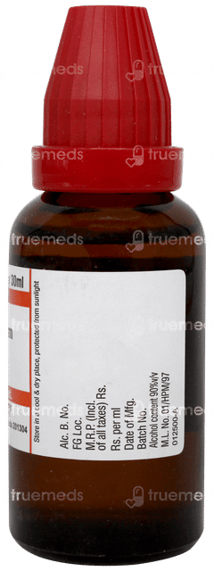 Dr Willmar Berberis Aquifolium 30ch Dilution 30ml