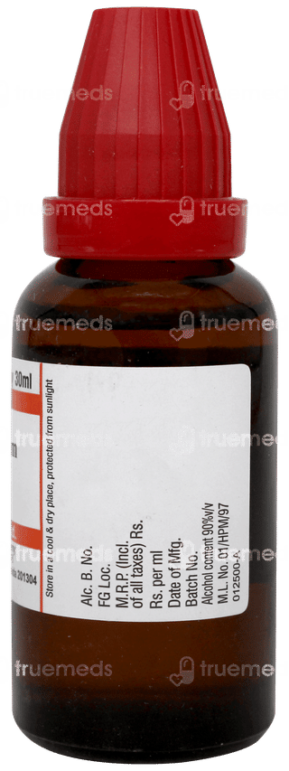 Dr Willmar Berberis Aquifolium 30ch Dilution 30ml