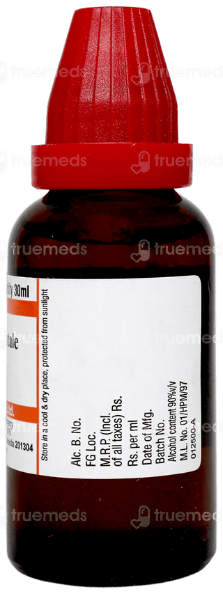 Dr Willmar Schwabe Anacardium Orientale 200ch Dilution 30ml