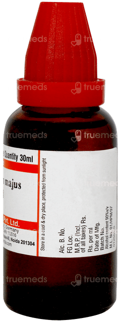 Dr Willmar Chelidonium Majus 30ch Dilution 30ml