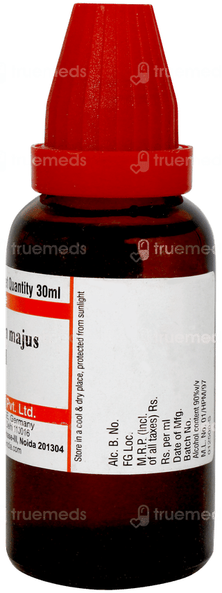 Dr Willmar Chelidonium Majus 30ch Dilution 30ml