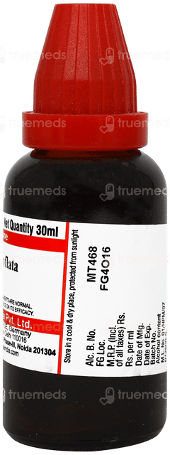 Dr Willmar Schwabe Lobelia Inflata Q Mother Tincture 30ml